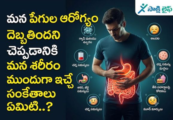 Poor Gut Health : మన పేగుల ఆరోగ్యం దెబ్బతిందని చెప్పడానికి మన శరీరం ముందుగా ఇచ్చే సంకేతాలు ఏమిటి..?