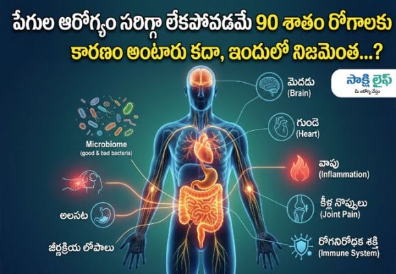Gut Health care : పేగుల ఆరోగ్యం సరిగ్గా లేకపోవడమే 90 శాతం రోగాలకు కారణం అంటారు కదా, ఇందులో నిజమెంత..?
