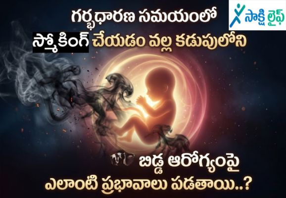 Smoking During Pregnancy Affect : గర్భధారణ సమయంలో స్మోకింగ్ చేయడం వల్ల కడుపులోని బిడ్డ ఆరోగ్యంపై ఎలాంటి ప్రభావాలు పడతాయి..? 